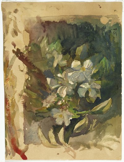 Apple Blossoms in Sunlight (wc paperilla) tekijältä John La Farge or Lafarge