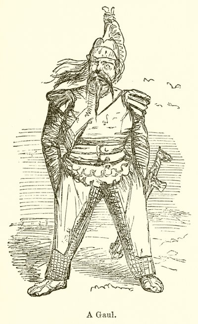 Gallialainen tekijältä John Leech