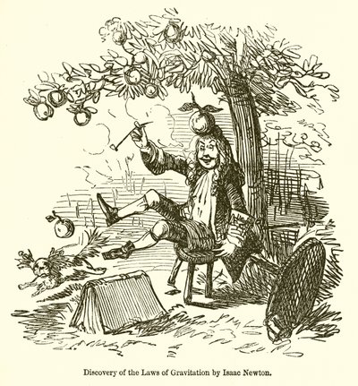 Isaac Newtonin gravitaatiolain löytäminen tekijältä John Leech