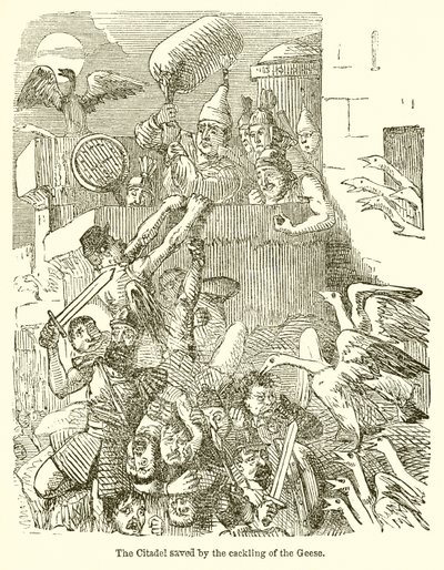 Hanhien kaakatuksen pelastama Citadel tekijältä John Leech