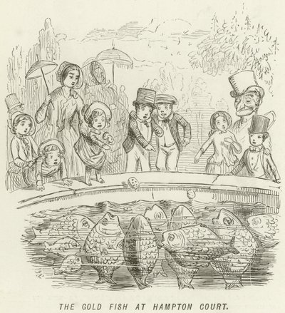 Kultakala Hampton Courtissa tekijältä John Leech