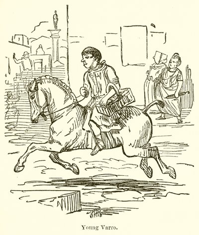 Nuori Varro tekijältä John Leech