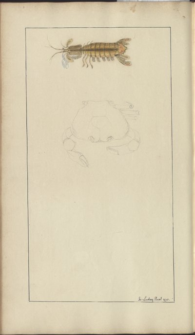 Lindsay Drawings Voi. VII, 24 tekijältä John Lindsay