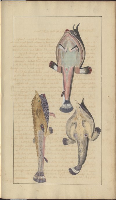 Lindsay Drawings Voi. VII, 27 tekijältä John Lindsay