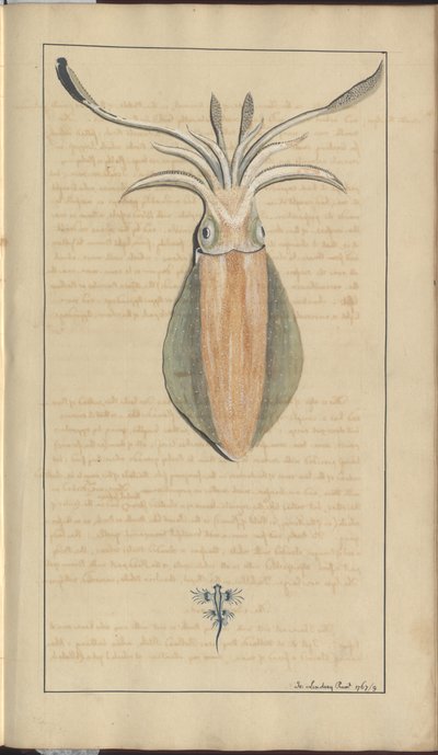 Lindsay Drawings Voi. VII, 29 tekijältä John Lindsay