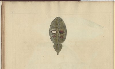 Lindsay Drawings Voi. VII, 3 tekijältä John Lindsay