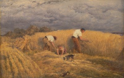 Valmis tutkimus "Reaping" tekijältä John Linnell