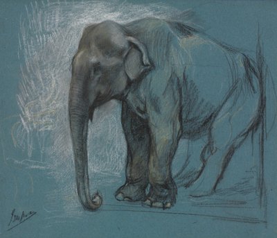 Elefantin tutkimus. tekijältä John Macallan Swan