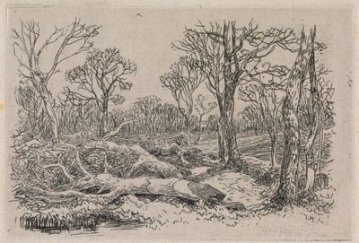 Kaadettu puu, Burningham tekijältä John Middleton