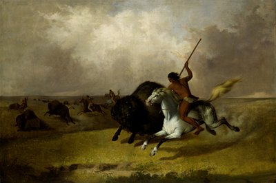 Buffalo Hunt Southwestern Prairies, 1845. tekijältä John Mix Stanley