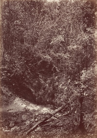 Darienin retkikunta, 1871 (kuva) tekijältä John Moran