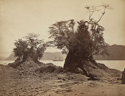 Saaret Lemon Bayssa, 1871. tekijältä John Moran