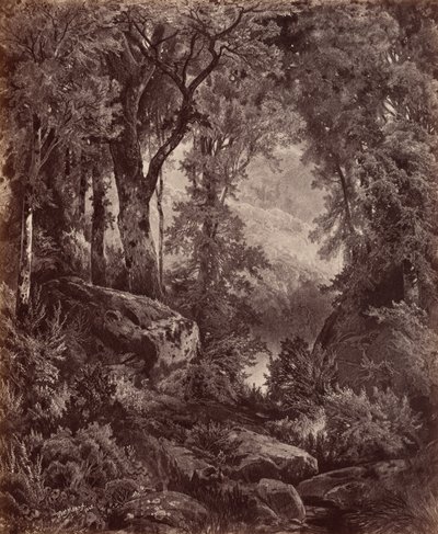 Solitude,1865 (kuva) tekijältä John Moran