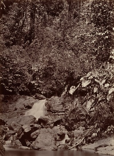 Trooppinen maisema, Cascade, Limon River, 1871. tekijältä John Moran