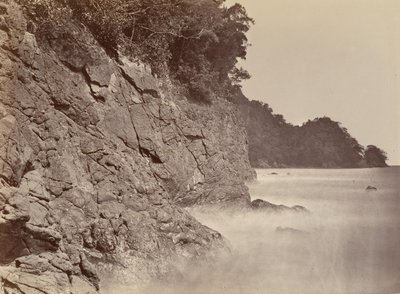 Trooppinen maisema, Cliff - Limon Bay, 1871. tekijältä John Moran