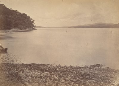 Trooppinen maisema, Darien Harbour – Etelään katsova, 1871. tekijältä John Moran