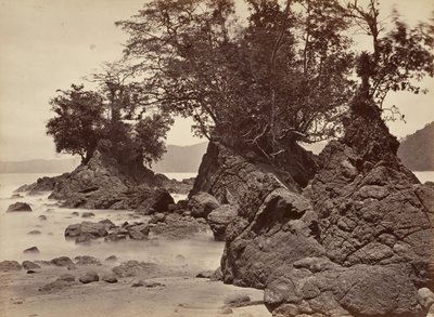 Trooppinen maisema, Limon Bay - laskuvesi, 1871. tekijältä John Moran
