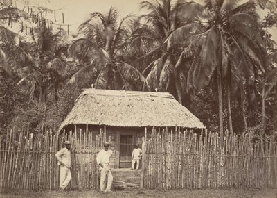 Trooppinen maisema, Native Hut, Turbo, 1871. tekijältä John Moran