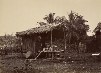 Trooppinen maisema, Native Hut, Turbo, 1871. tekijältä John Moran
