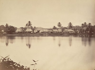 Trooppinen maisema, Santa Maria del Real, Darien, 1871. tekijältä John Moran