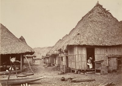Trooppinen maisema, Street, Chipigana, 1871. tekijältä John Moran