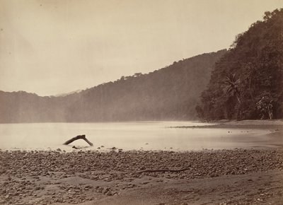 Trooppinen maisema, ehdotetun kanavan päätepiste, Limon Bay, 1871. tekijältä John Moran