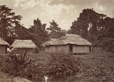 Trooppinen maisema, Turbo Village, 1871. tekijältä John Moran