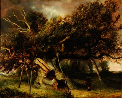 Cowthorpen tammi tekijältä John Nicholas Rhodes