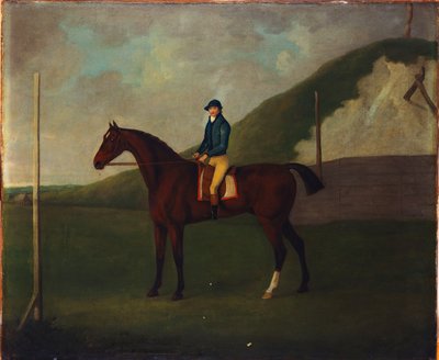 "Creeper", Bay Colt Jockeyn kanssa aloituspisteessä Devils Ditchissa, Newmarket tekijältä John Nott Sartorius