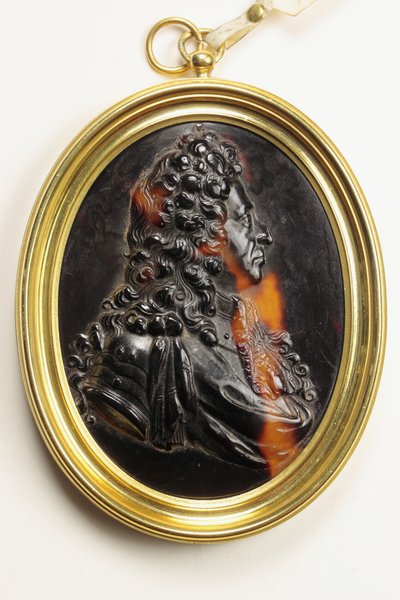 William III (kilpikonnankuori) tekijältä John Obrisset
