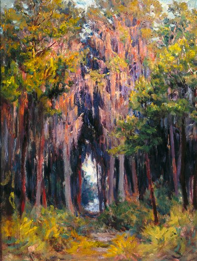 Hanging Moss, Pietari (öljy kankaalle) tekijältä John Otis Adams