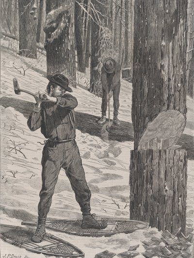 Puutavaraa talvella Joka lauantai, Vol. II, uusi sarja, 28. tammikuuta 1871. tekijältä John Parker Davis