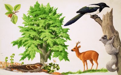 Pyökki tekijältä John Rignall