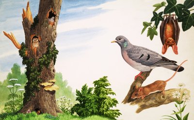 Kuollut puu tekijältä John Rignall