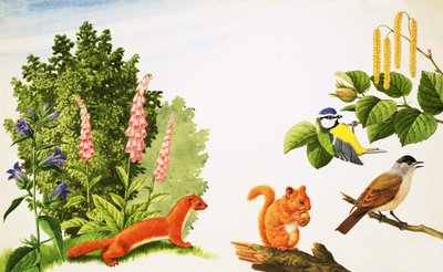 Pähkinäpensas tekijältä John Rignall