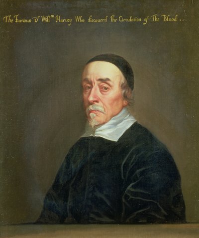 William Harveyn (1578-1657) muotokuva tekijältä John Riley