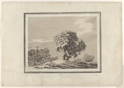 Jalava tekijältä John Robert Cozens