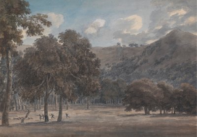 Il Parco degli Astroni - Metsäisen kraatterin pohja ja metsästys käynnissä tekijältä John Robert Cozens