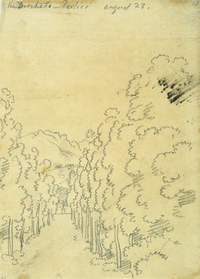 Woodland, jäljitysalbumista tekijältä John Robert Cozens