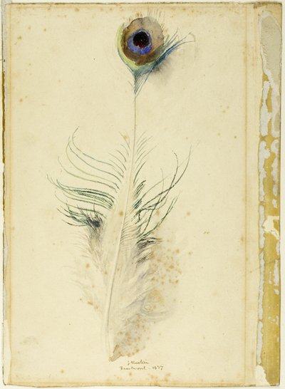 Riikinkukon sulka tekijältä John Ruskin
