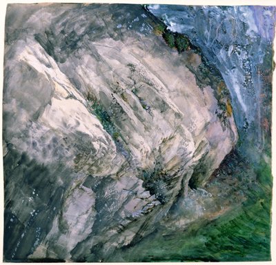 Kivet ja kasvillisuus Chamounissa, 1854 tekijältä John Ruskin