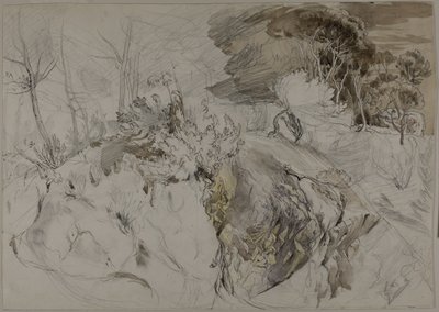 Pensaat ja puut kalliomaisemassa tekijältä John Ruskin