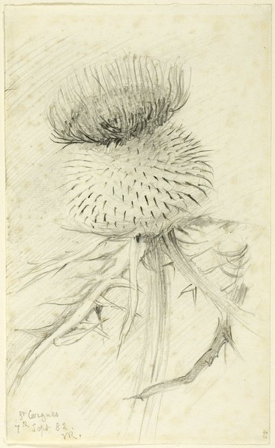 St. Cergues tekijältä John Ruskin