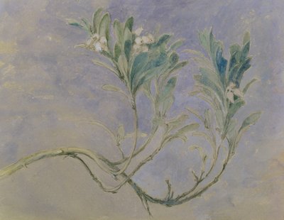 Huonekalut ja erilaiset esineet 1100- ja 1300-luvuilta tekijältä John Ruskin