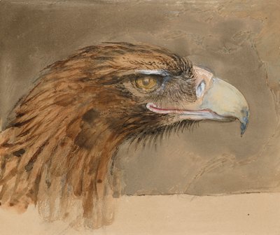 Yhteisen kultakotkan pää, elämästä, 8.-11.9.1870 tekijältä John Ruskin