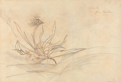 Joen kallioranta tekijältä John Ruskin