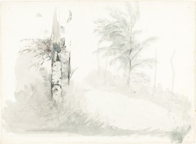 Puututkimus tekijältä John Ruskin
