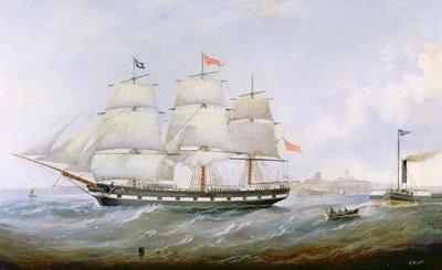 Laiva 
