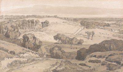 Holt Heath, lähellä Norwichia tekijältä John Sell Cotman