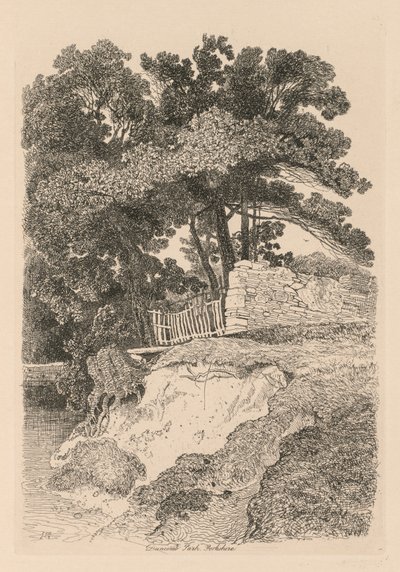 Liber Studiorum: Plate 13, Duncomb Park, Yorkshire: No. 5, 1838. tekijältä John Sell Cotman